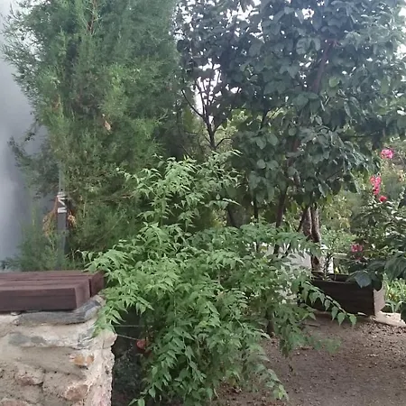 Casa-huerto La Juana Trevélez