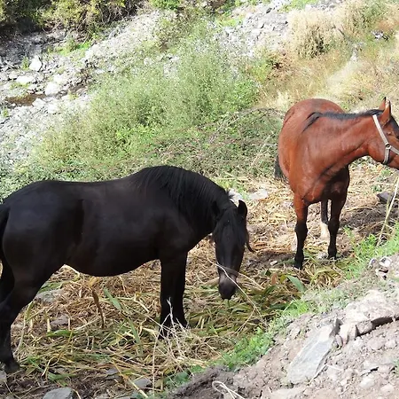 Сasa de vacaciones Casa-huerto La Juana *